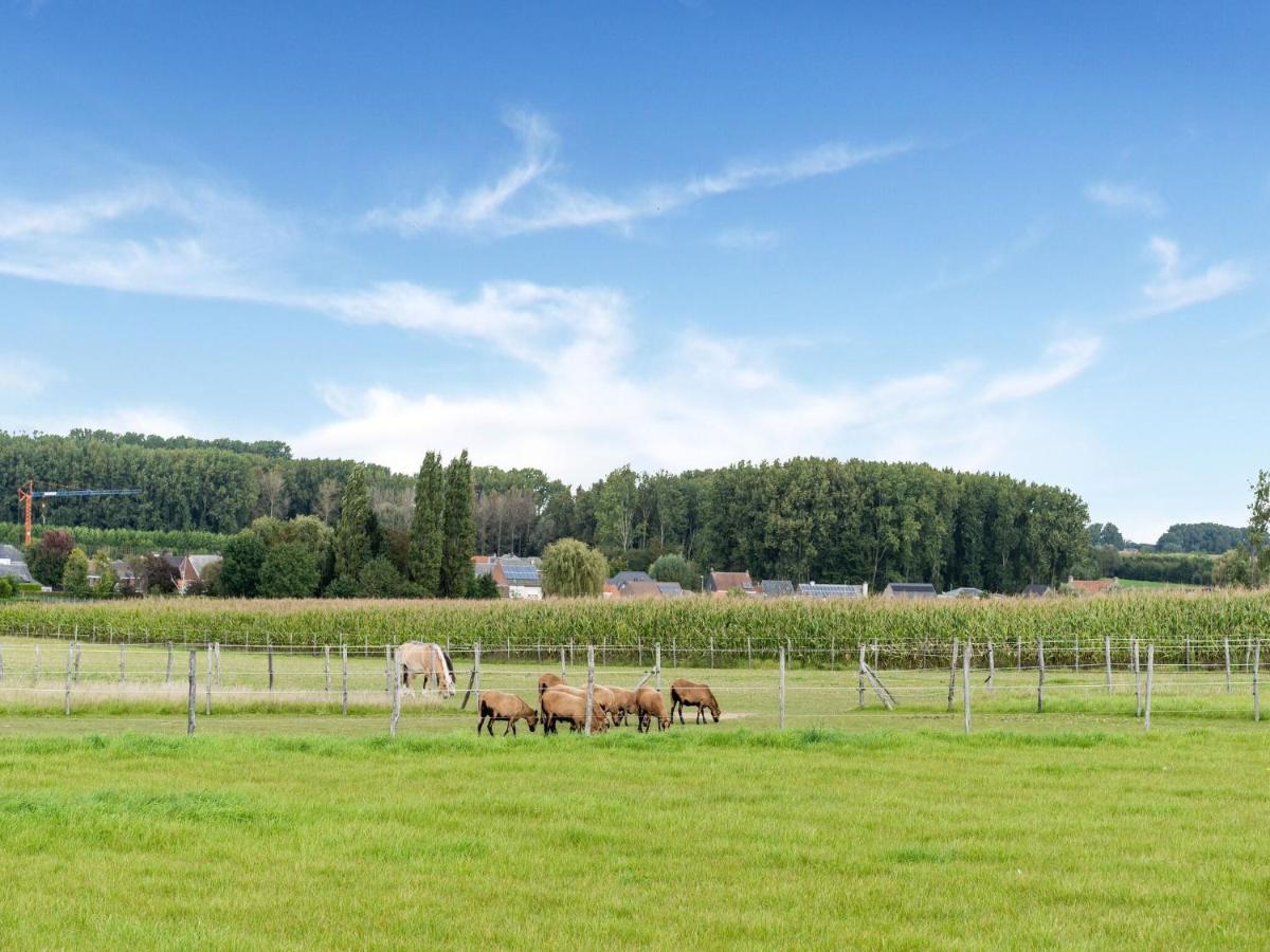 Stunning Holiday Home In Oombergen With Terrace And Garden Zottegem Kültér fotó